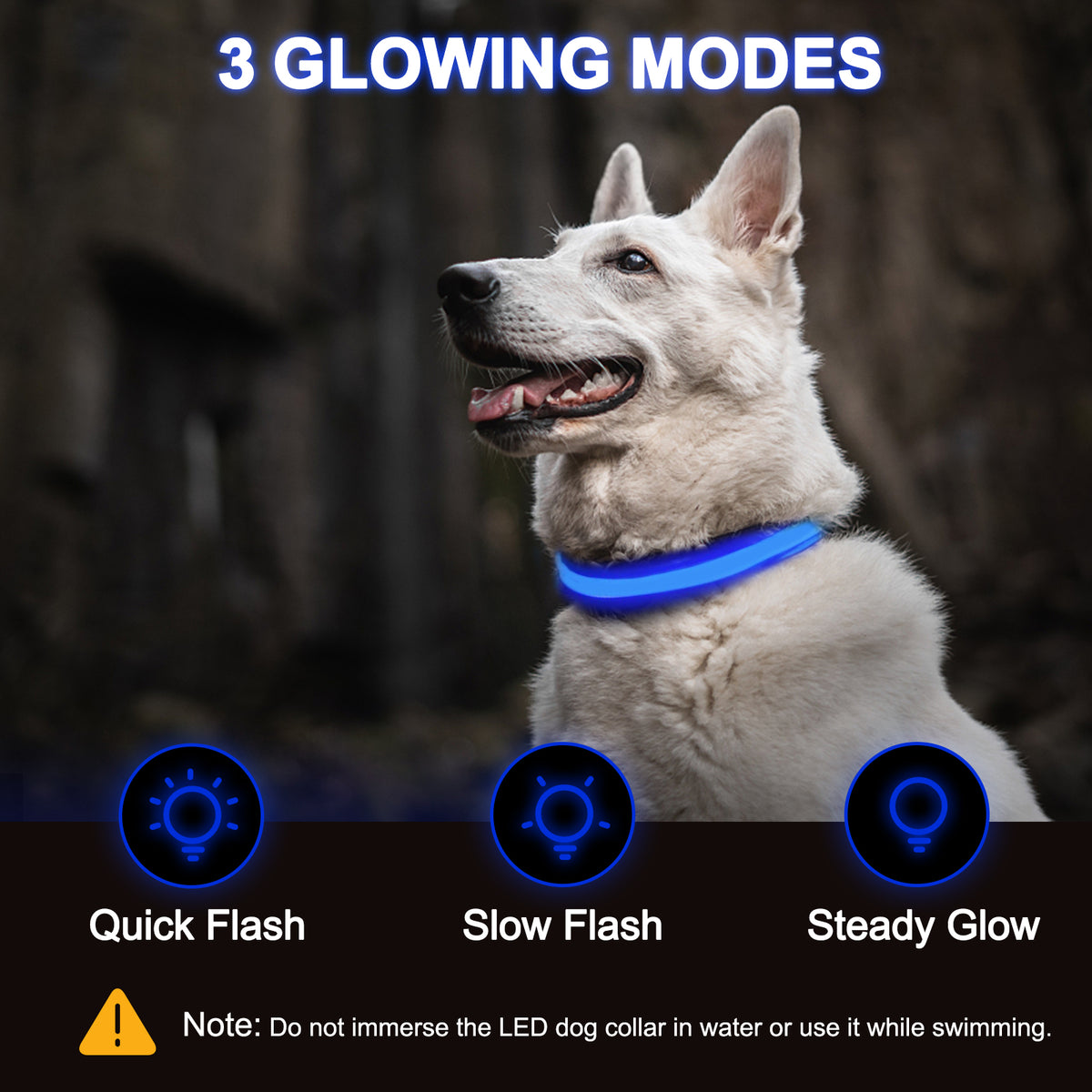 Rechargeable LED light-up dog collar – view 5