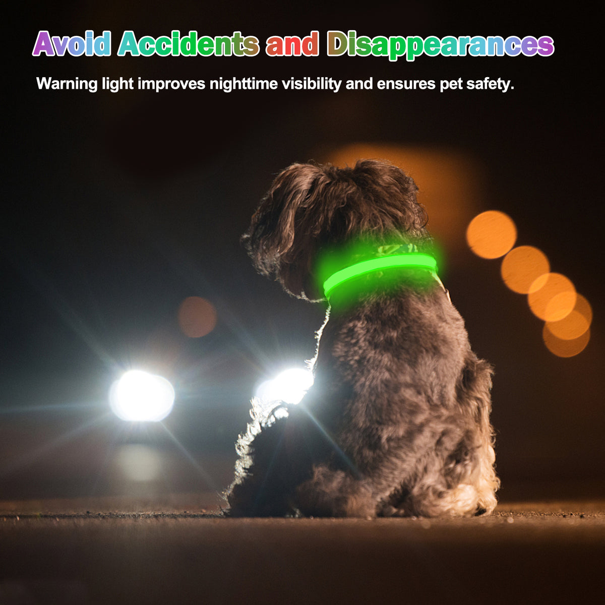 Rechargeable LED light-up dog collar – view 9