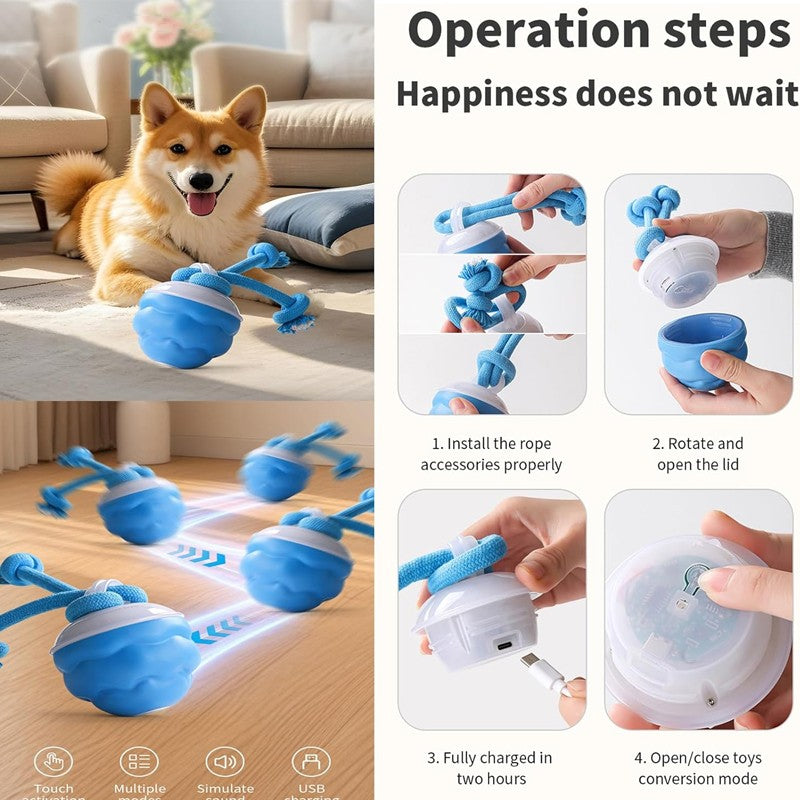 Motion-activated smart ball dog toy