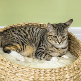 72cm cat tree kitten tower – view 9