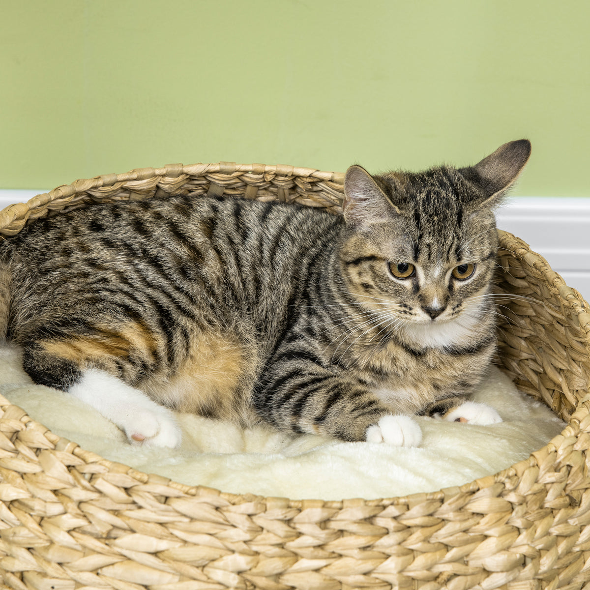 72cm cat tree kitten tower – view 9