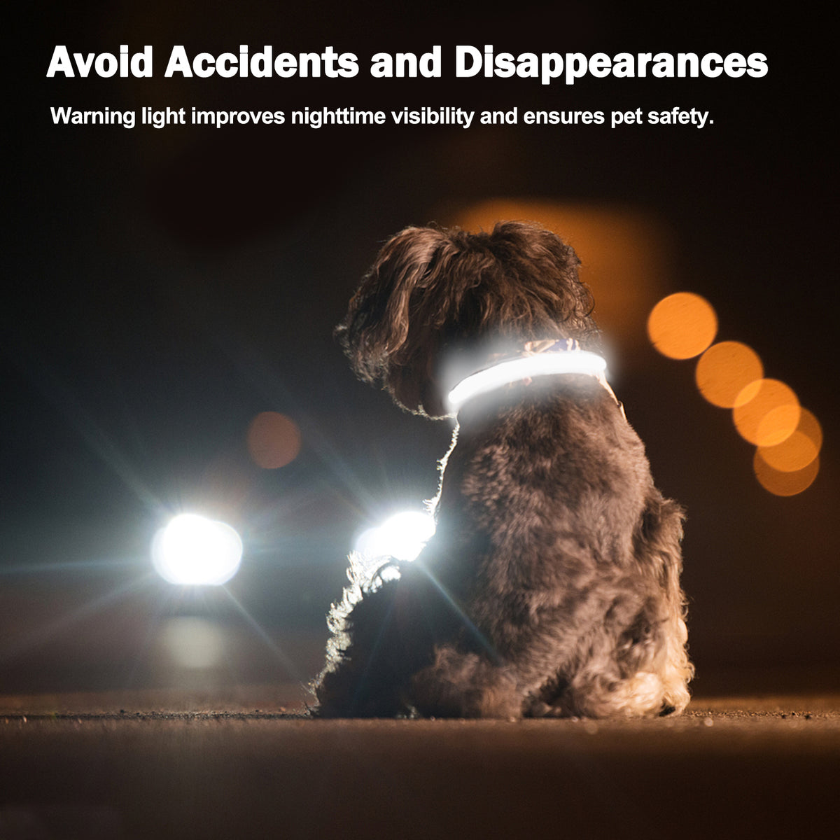 Rechargeable LED light-up dog collar – view 2
