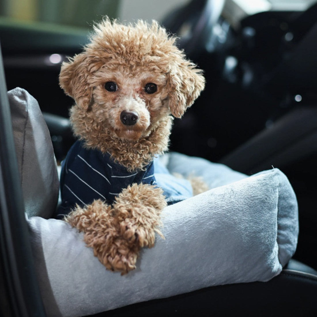 Elevated dog car booster seat – view 4