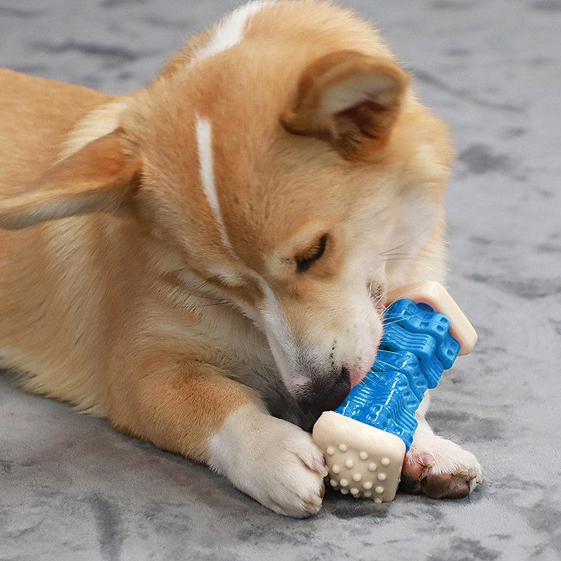 Tough squeaky treat-dispensing dog chew toy – view 6