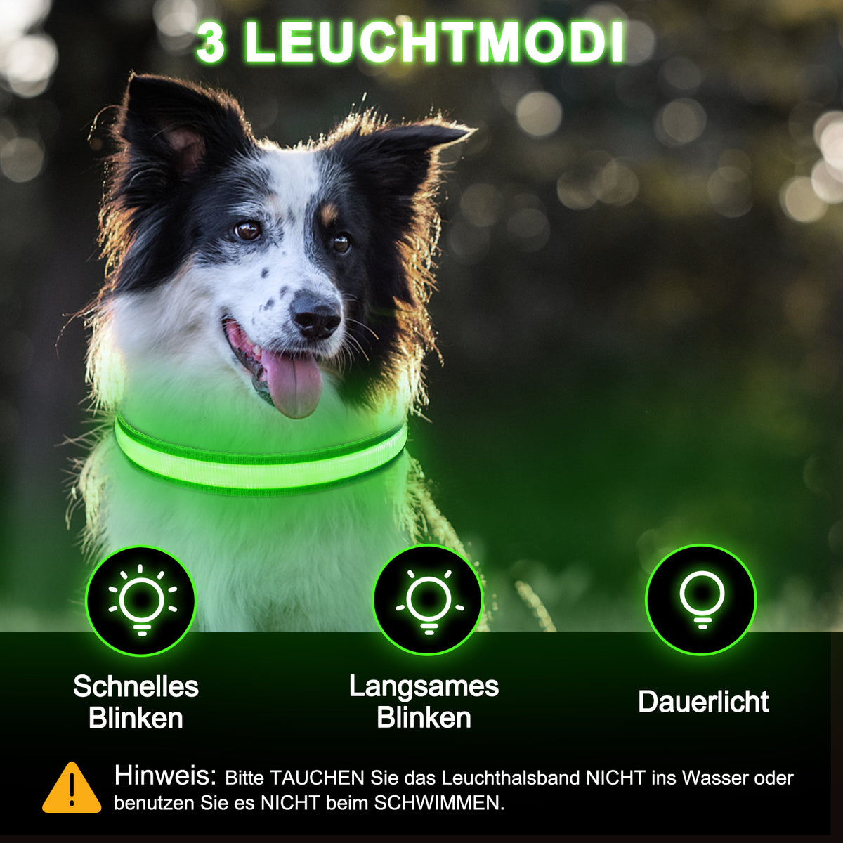 Rechargeable LED light-up dog collar – view 10