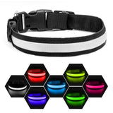 Rechargeable LED light-up dog collar
