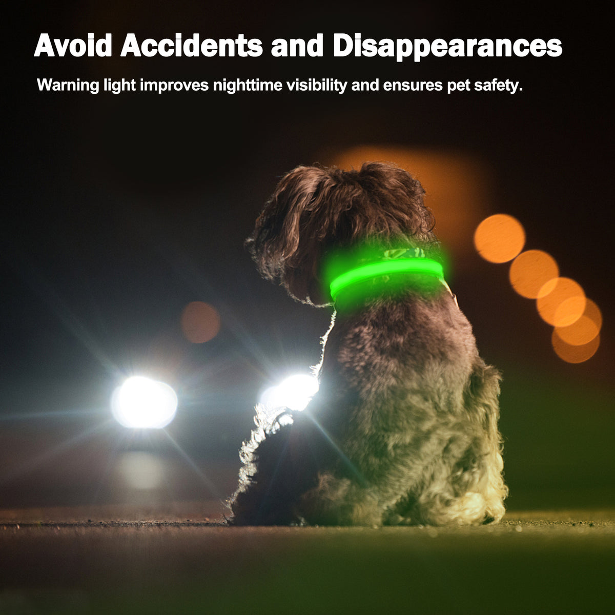 Rechargeable LED light-up dog collar – view 6