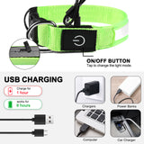 Rechargeable LED light-up dog collar – view 3
