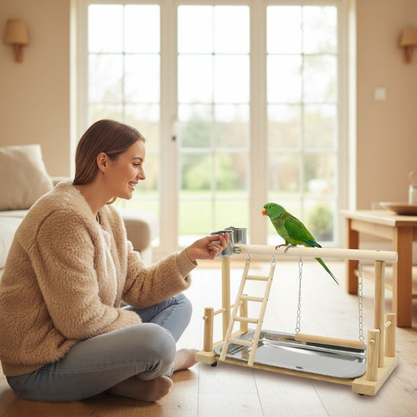 Solid wood parrot playstand perch gym