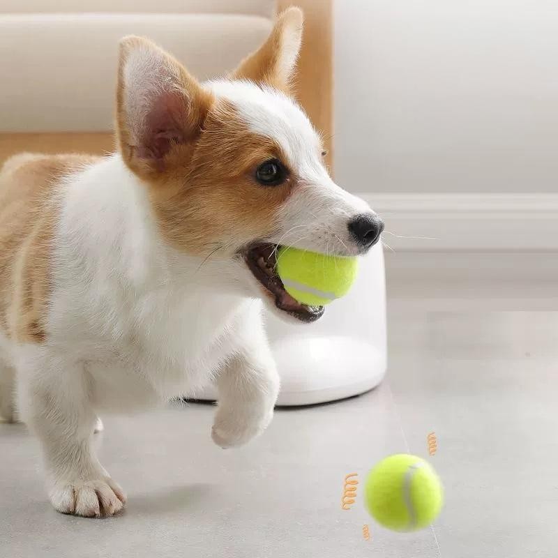 Automatic dog ball launcher fetch toy – view 2