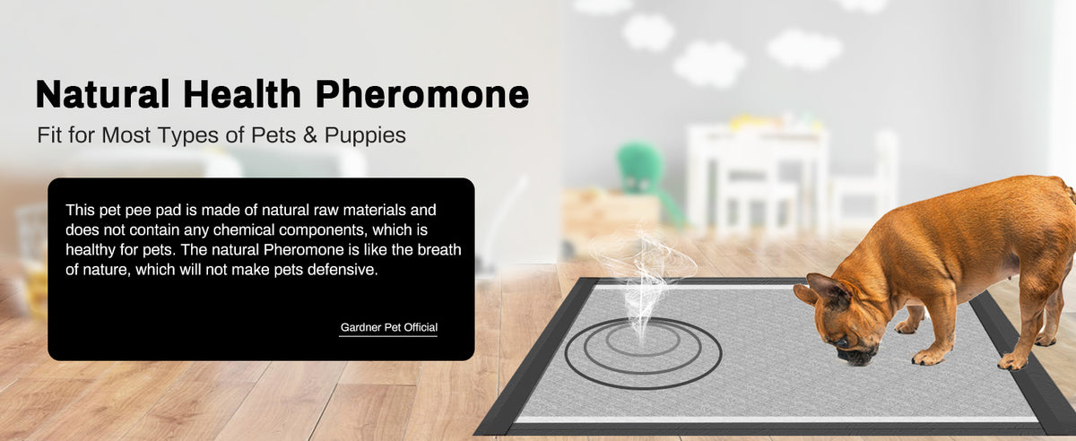 XL charcoal puppy training pads – view 8