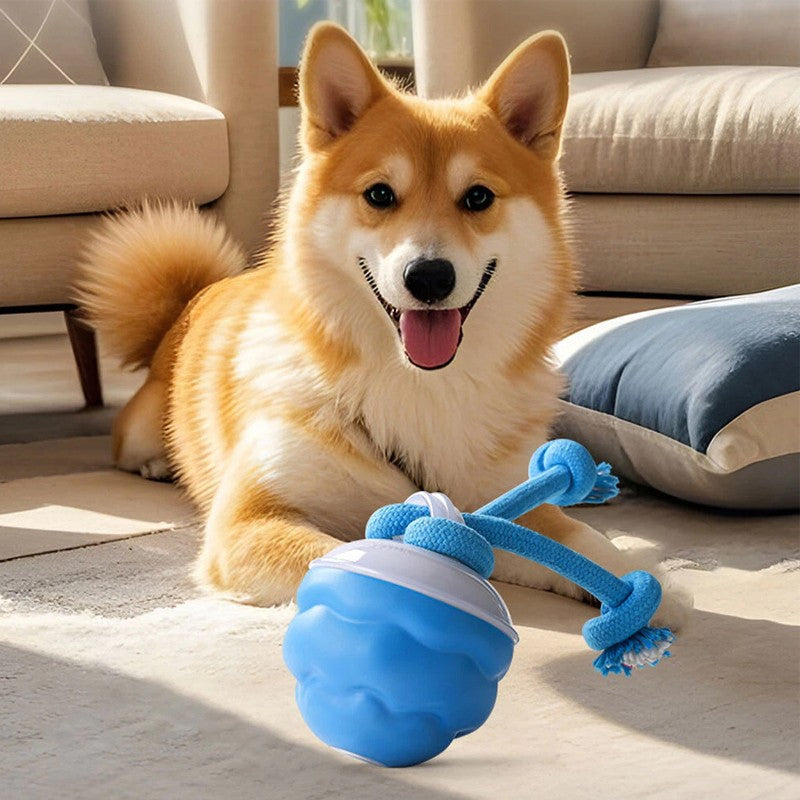 Motion-activated smart ball dog toy – view 5