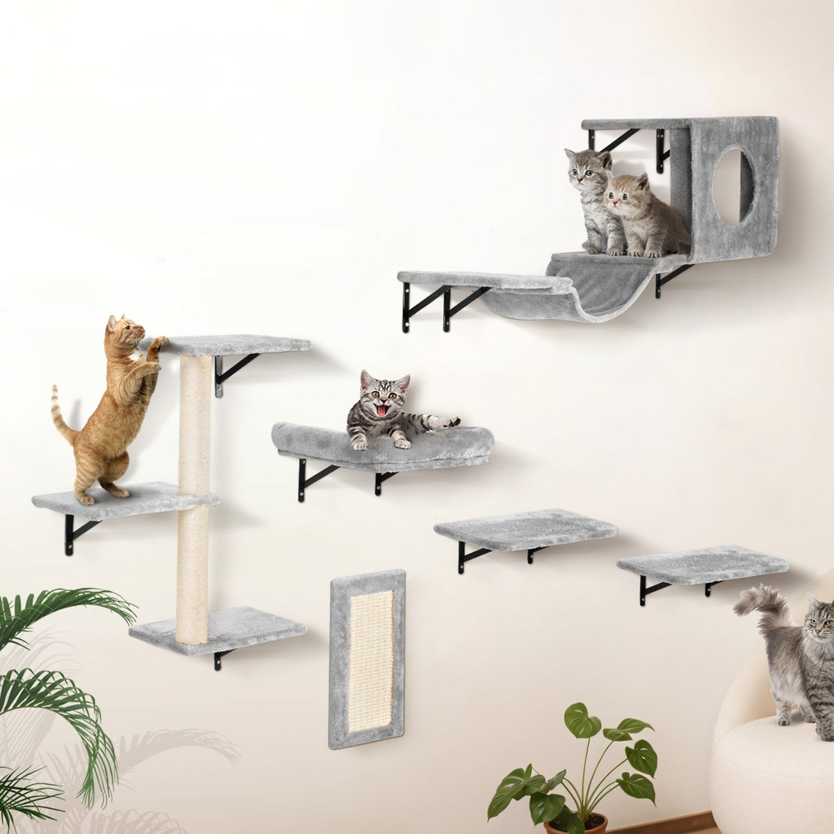 6-piece wall-mounted cat shelf set