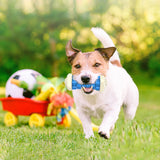 Tough squeaky treat-dispensing dog chew toy – view 2